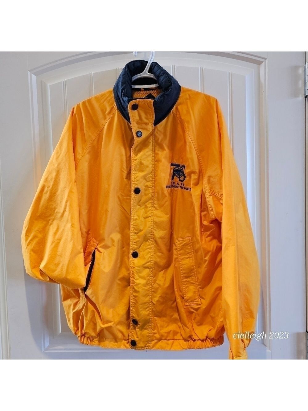 💥4 for $25💥 Southampton Windbreaker - Warner Brothers 75th Anniversary